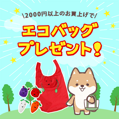 2000円以上のお買上げでエコバッグプレゼント！