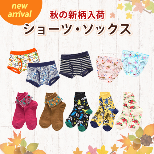 new arrival 秋の新柄入荷 シューツ・ソックス