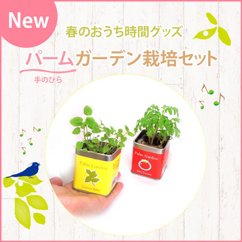 NEW 春のおうち時間グッズ パーム（手のひら）ガーデン栽培セット