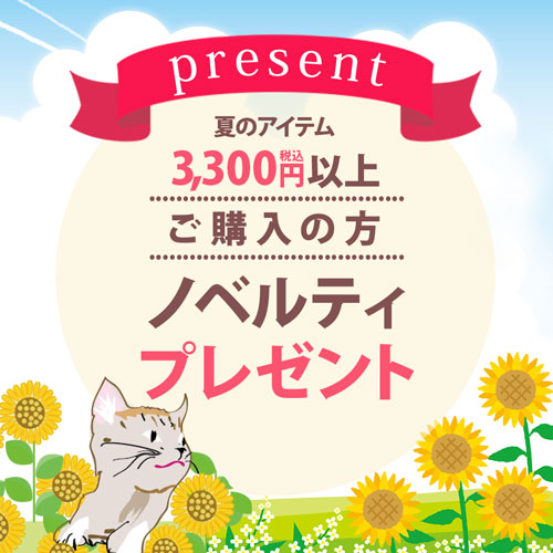 夏のアイテム税込3300円以上ご購入の方ノベルティプレゼント♪