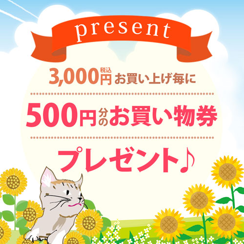 3000円お買上げ毎に500円分のお買い物券プレゼント♪